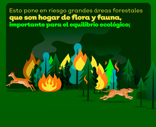 imagenes de incendios 3