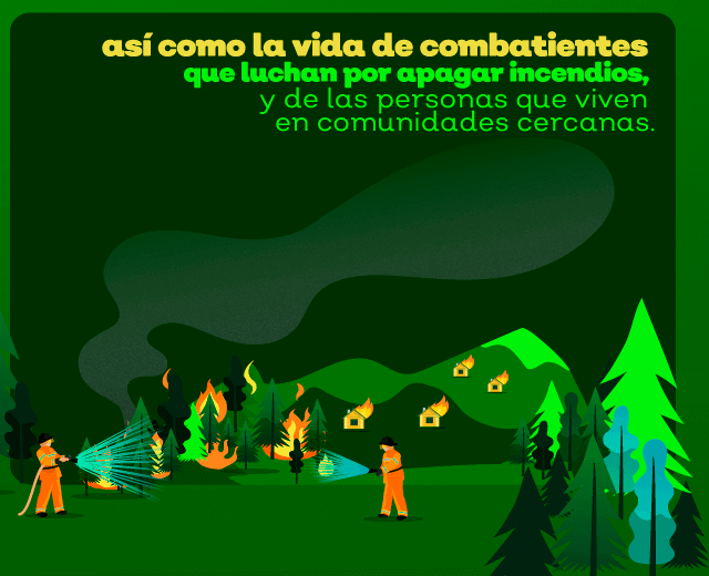 imagenes de incendios 4